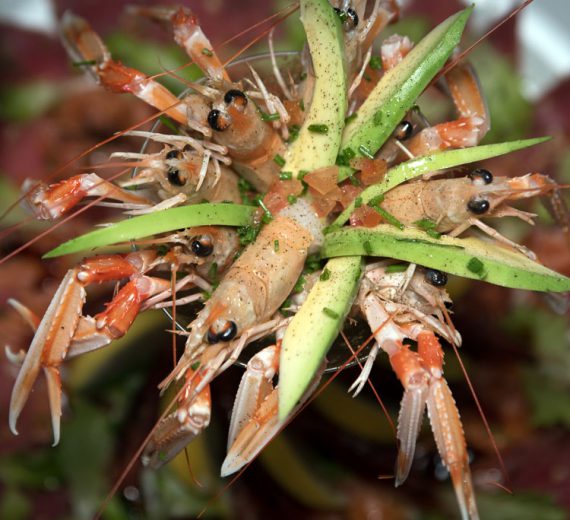 Cocktail di scampi